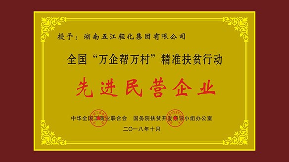 DB官方网站集团荣获“全国‘万企帮万村’精准扶贫行动先进民营企业”荣誉称号