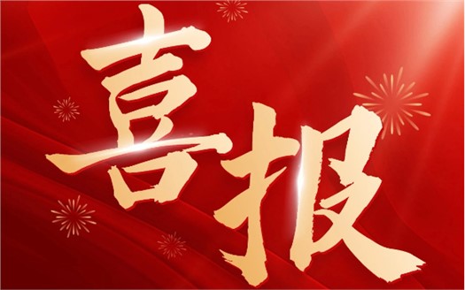 集团荣膺2025中国民营企业500强第249位，制造业民营企业500强第177位，排名较去年双双大幅提升